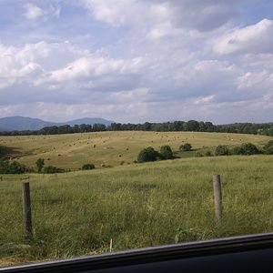 Meet your Posher, Margaret